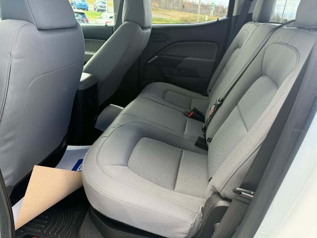 2019 Chevrolet Colorado 4WD Work Truck in Grand Falls, New Brunswick - 11 - w1024h768px