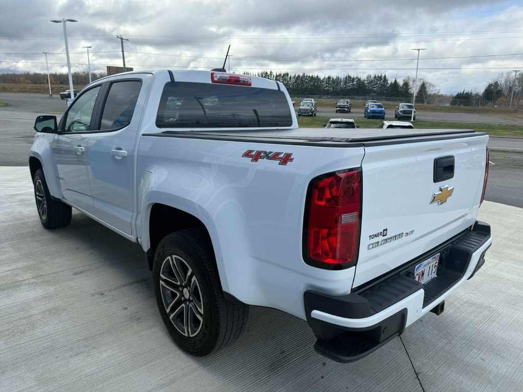 2019 Chevrolet Colorado 4WD Work Truck in Grand Falls, New Brunswick - 7 - w1024h768px