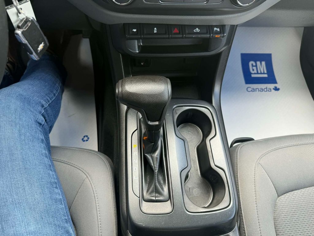 2019 Chevrolet Colorado 4WD Work Truck in Grand Falls, New Brunswick - 10 - w1024h768px