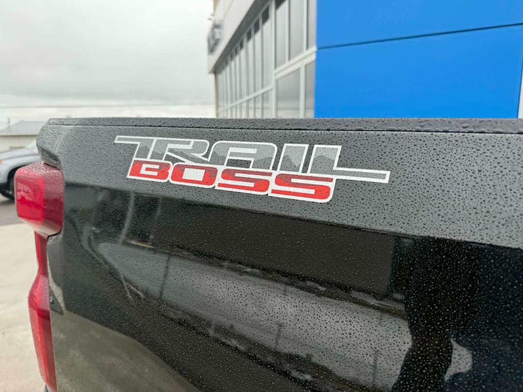 2022 Chevrolet Silverado 1500 LTD LT Trail Boss in Grand Falls, New Brunswick - 17 - w1024h768px