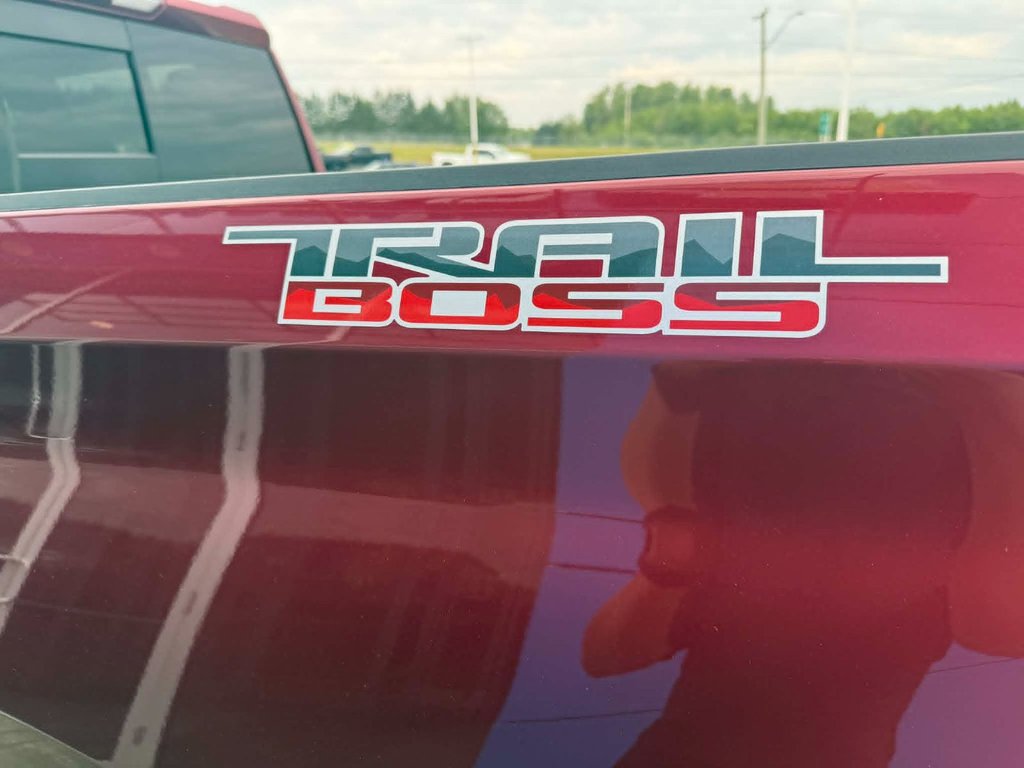 2022 Chevrolet Silverado 1500 LTD LT Trail Boss in Grand Falls, New Brunswick - 8 - w1024h768px