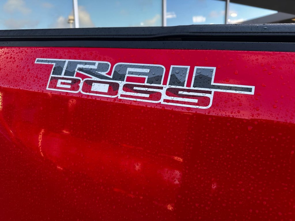 2019 Chevrolet Silverado 1500 LT Trail Boss in Edmundston, New Brunswick - 12 - w1024h768px