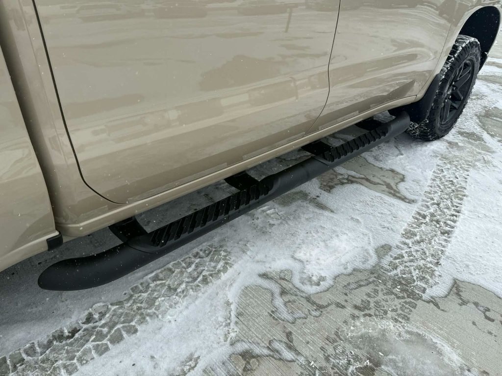 2022 Chevrolet Silverado 1500 Custom Trail Boss in Grand Falls, New Brunswick - 10 - w1024h768px