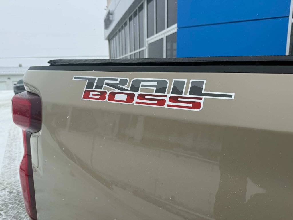 2022 Chevrolet Silverado 1500 Custom Trail Boss in Grand Falls, New Brunswick - 9 - w1024h768px