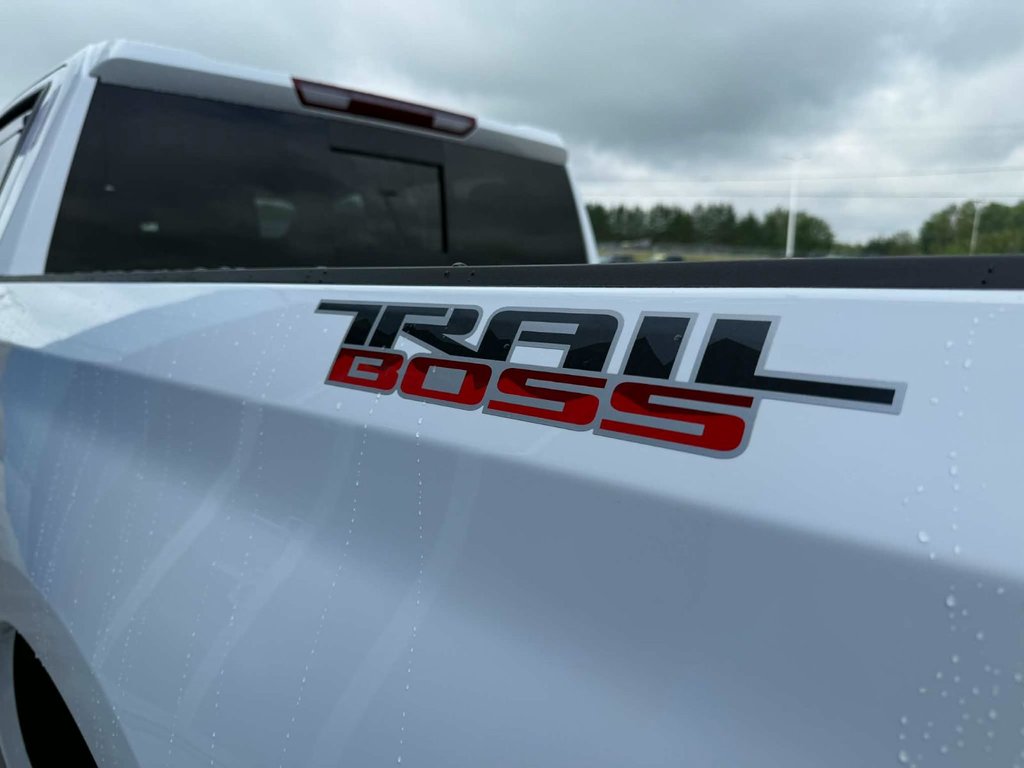 Chevrolet Silverado 1500 LT Trail Boss 2026 à Grand Falls, Nouveau-Brunswick - 17 - w1024h768px