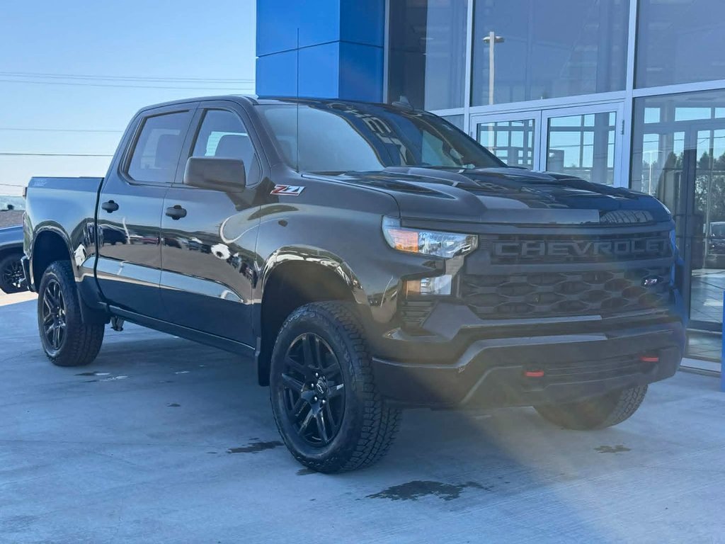 2026 Chevrolet Silverado 1500 Custom Trail Boss in Grand Falls, New Brunswick - 2 - w1024h768px