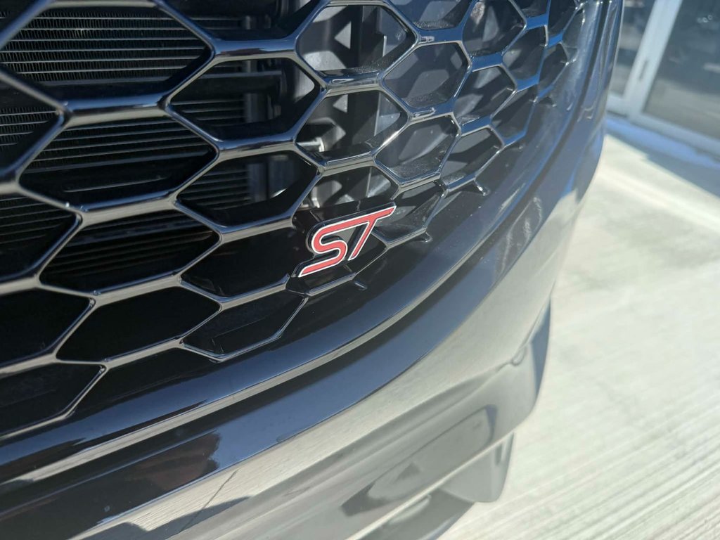 Ford Edge ST 2022 à Grand Falls, Nouveau-Brunswick - 12 - w1024h768px