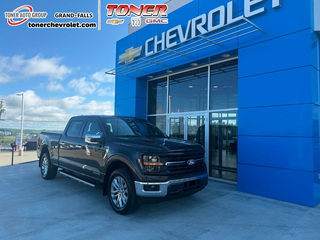 2024 Ford F-150 XLT HYBRID in Grand Falls, New Brunswick - 1 - w1024h768px