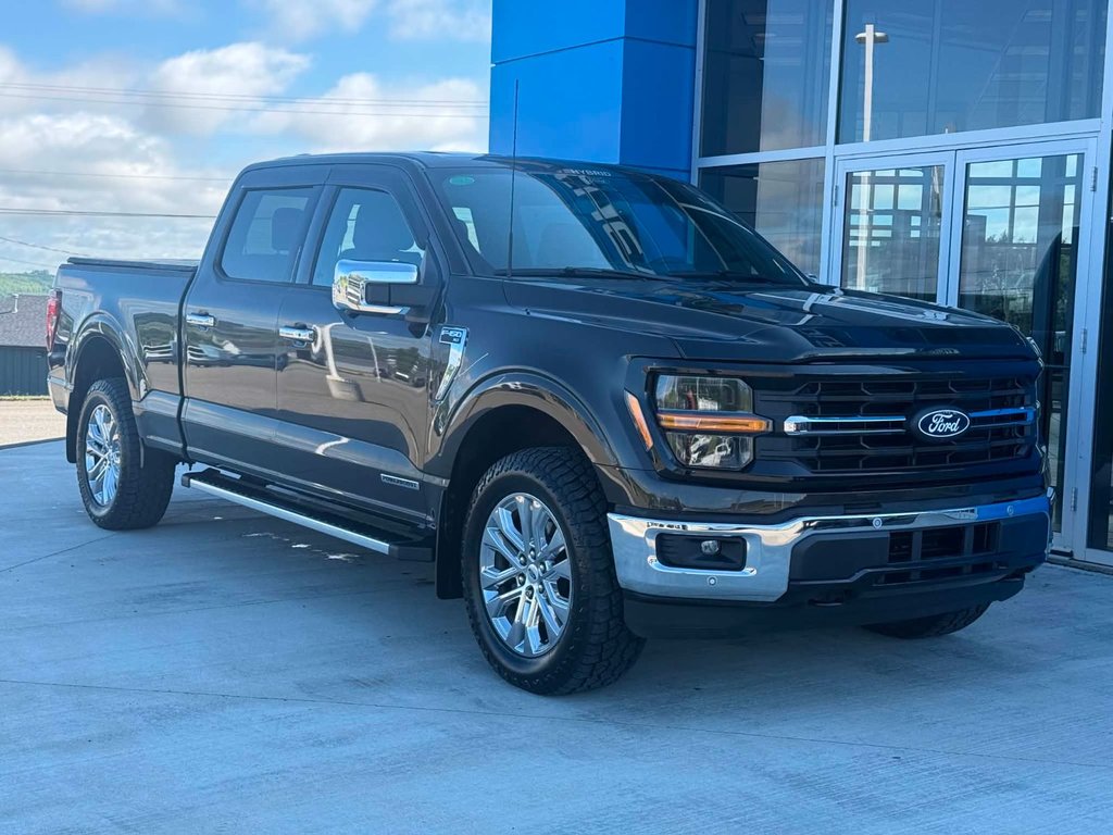 2024 Ford F-150 XLT HYBRID in Grand Falls, New Brunswick - 2 - w1024h768px