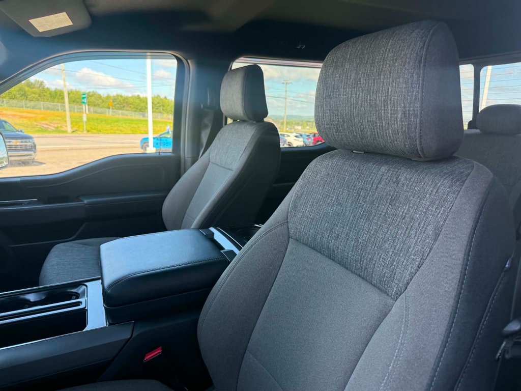 2024 Ford F-150 XLT HYBRID in Grand Falls, New Brunswick - 7 - w1024h768px