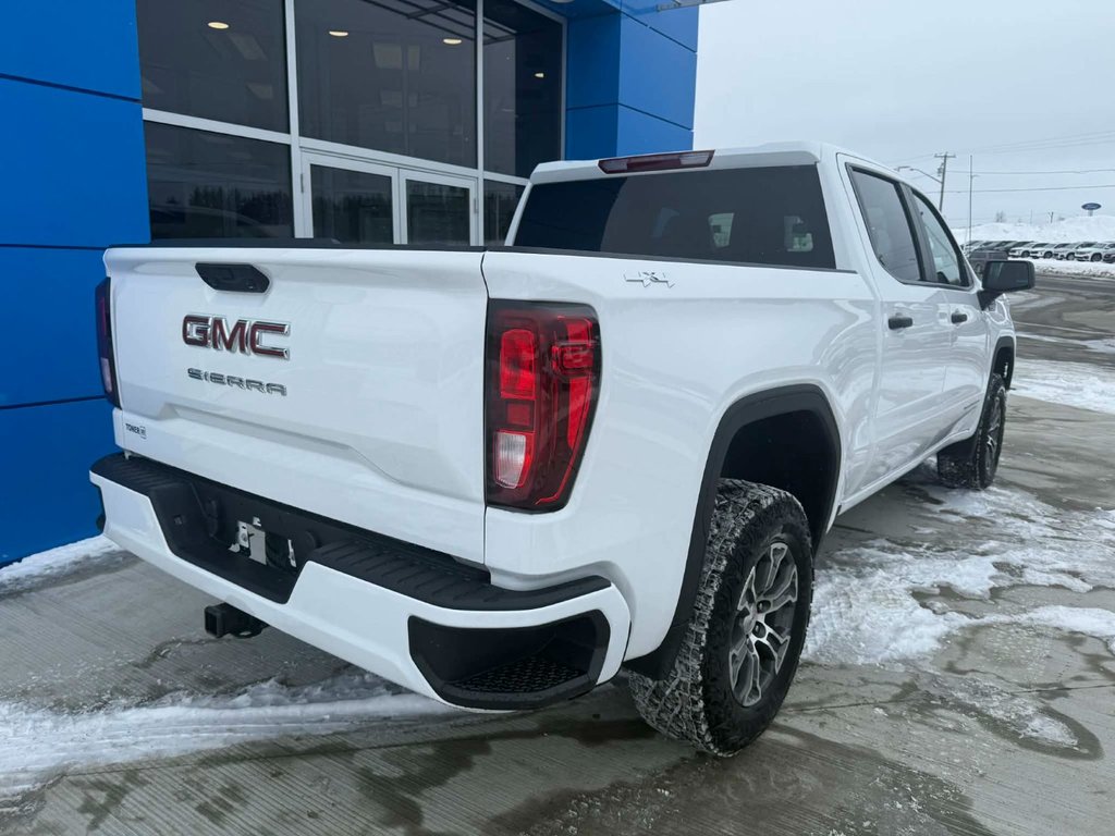 2026 GMC Sierra 1500 PRO in Grand Falls, New Brunswick - 6 - w1024h768px