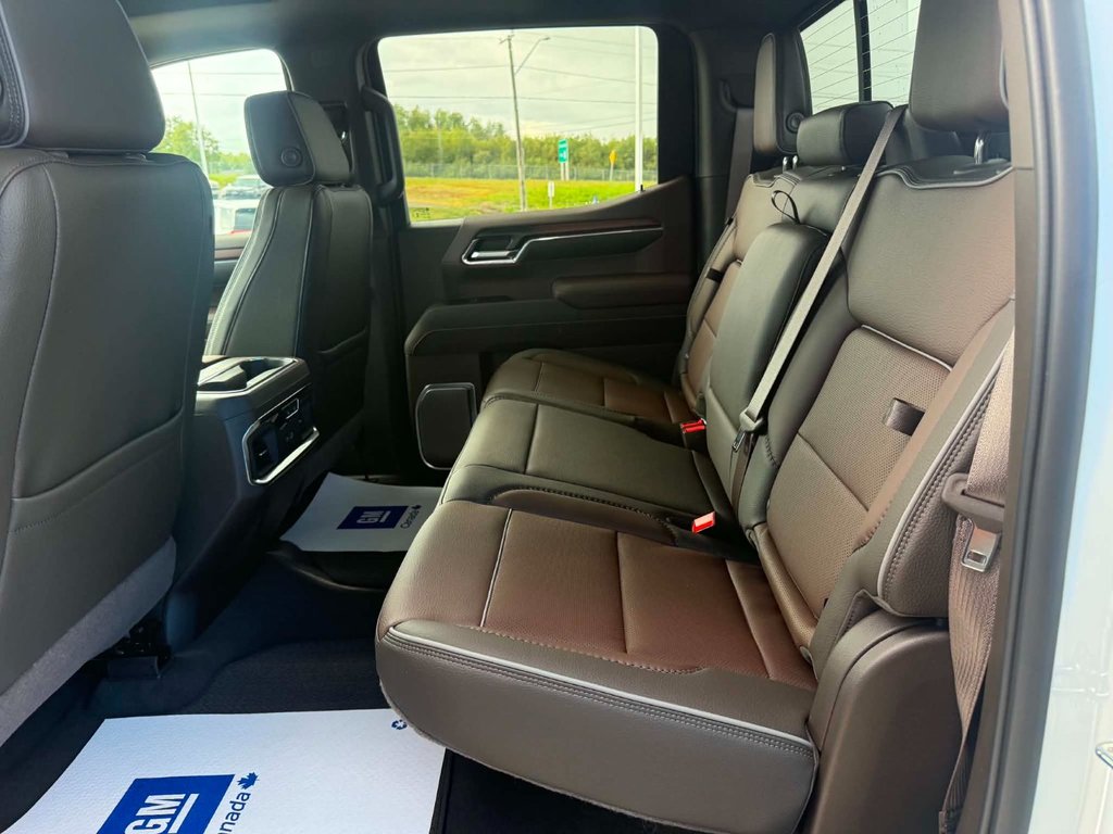 2026 GMC Sierra 1500 DENALI in Grand Falls, New Brunswick - 20 - w1024h768px