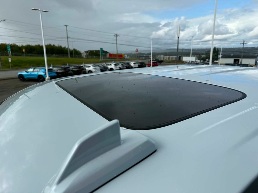 2026 GMC Sierra 1500 DENALI in Grand Falls, New Brunswick - 9 - w1024h768px