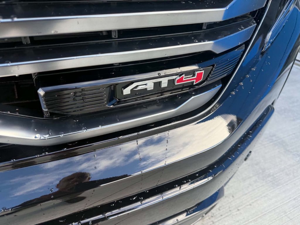 2026 GMC Sierra 1500 AT4 in Grand Falls, New Brunswick - 10 - w1024h768px