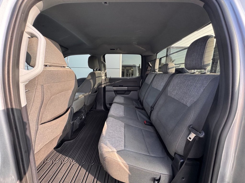 2023 Ford F-150 XLT in Tracadie-Sheila, New Brunswick - 9 - w1024h768px