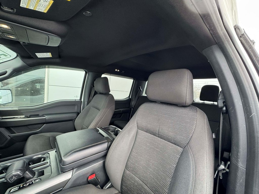 Ford F-150 XLT 2024 à Tracadie-Sheila, Nouveau-Brunswick - 6 - w1024h768px