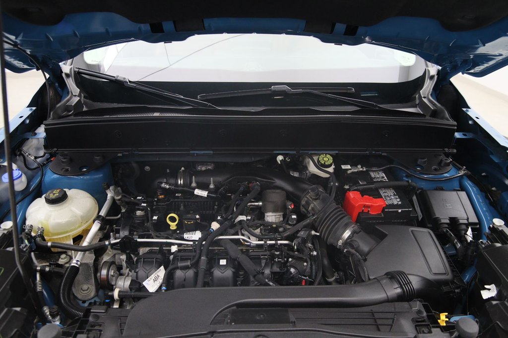 Ford Bronco Sport  2023 à Sept-Îles, Québec - 14 - w1024h768px