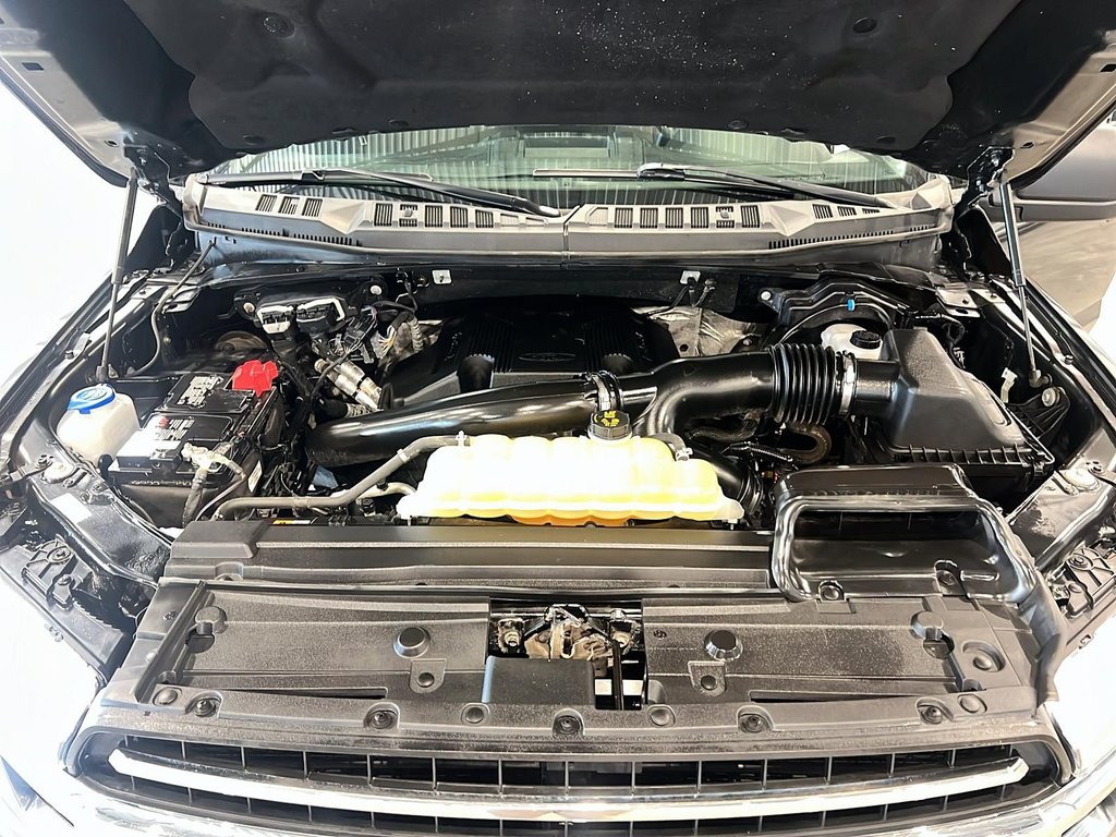 2019 Ford F-150 in Chicoutimi, Quebec - 8 - w1024h768px