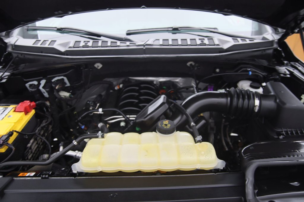 Ford F-150 XLT 2020 à Chicoutimi, Québec - 16 - w1024h768px