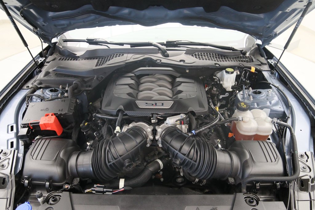 Ford Mustang  2024 à Chicoutimi, Québec - 13 - w1024h768px