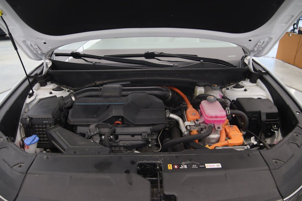 2024 Hyundai Tucson Hybrid in Baie-Comeau, Quebec - 17 - w1024h768px