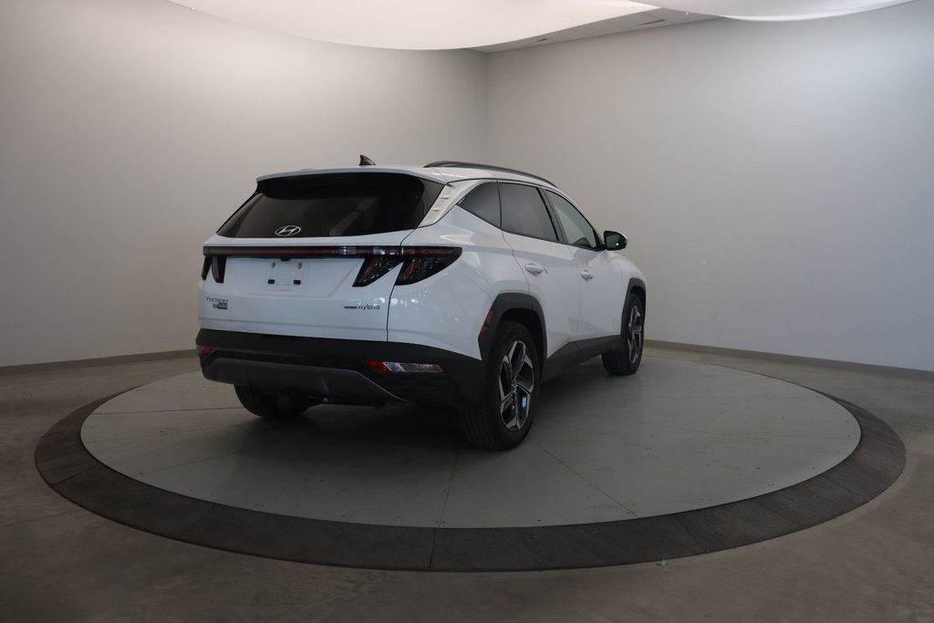 2024 Hyundai Tucson Hybrid in Baie-Comeau, Quebec - 4 - w1024h768px