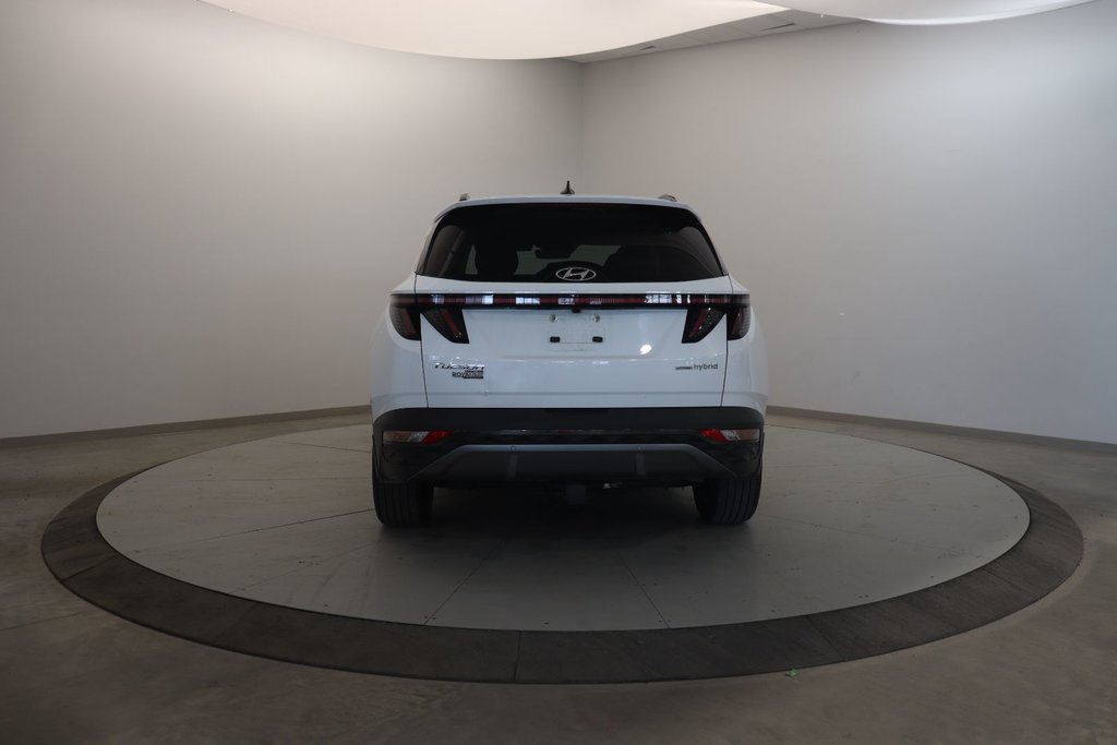 2024 Hyundai Tucson Hybrid in Baie-Comeau, Quebec - 5 - w1024h768px