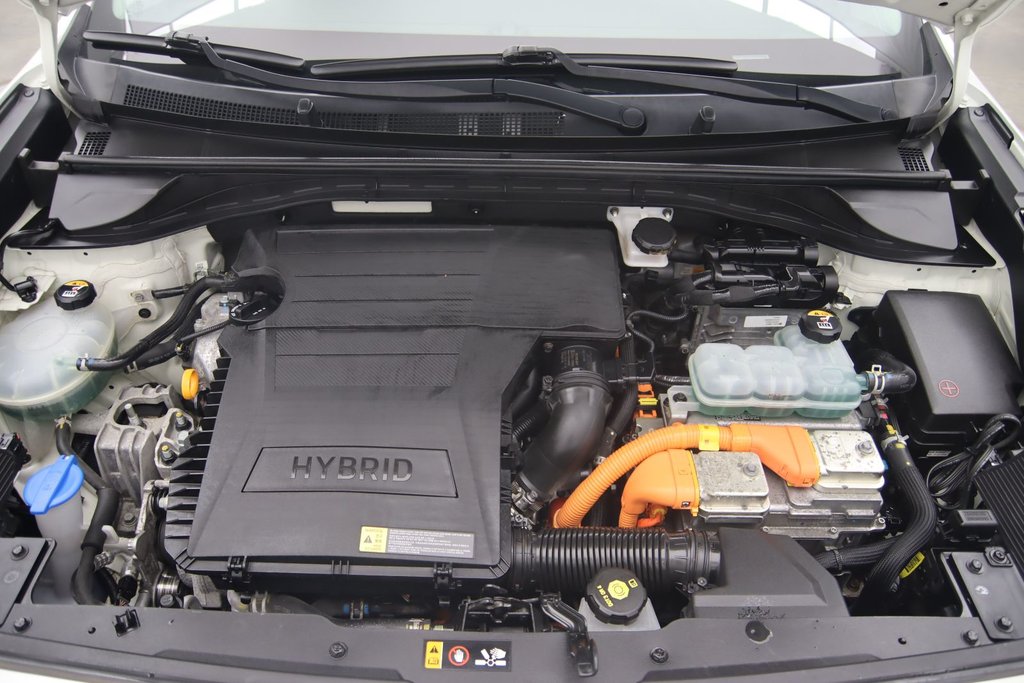 Kia Niro  2019 à Sept-Îles, Québec - 16 - w1024h768px