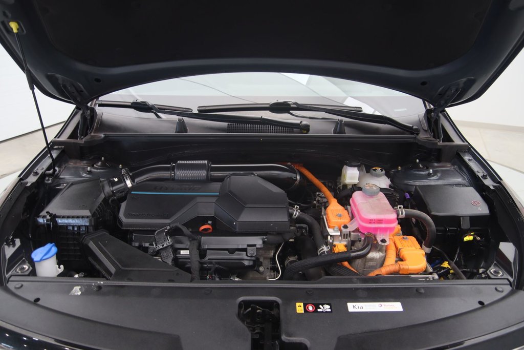 2023 Kia Sportage Hybrid SX in Chicoutimi, Quebec - 17 - w1024h768px
