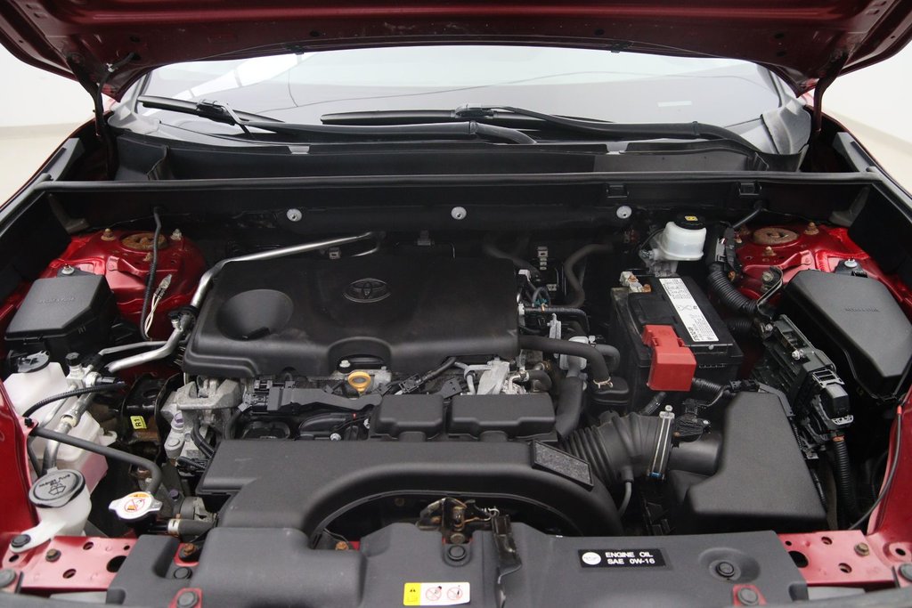 2019 Toyota RAV4 in Sept-Îles, Quebec - 16 - w1024h768px