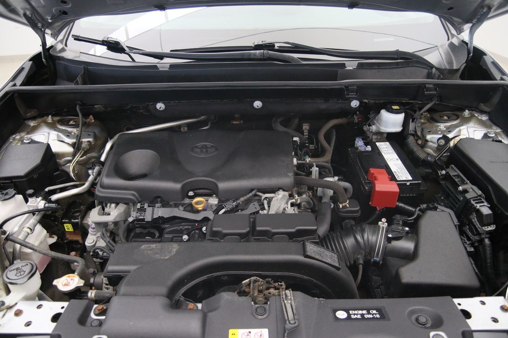 2019 Toyota RAV4 in Baie-Comeau, Quebec - 15 - w1024h768px