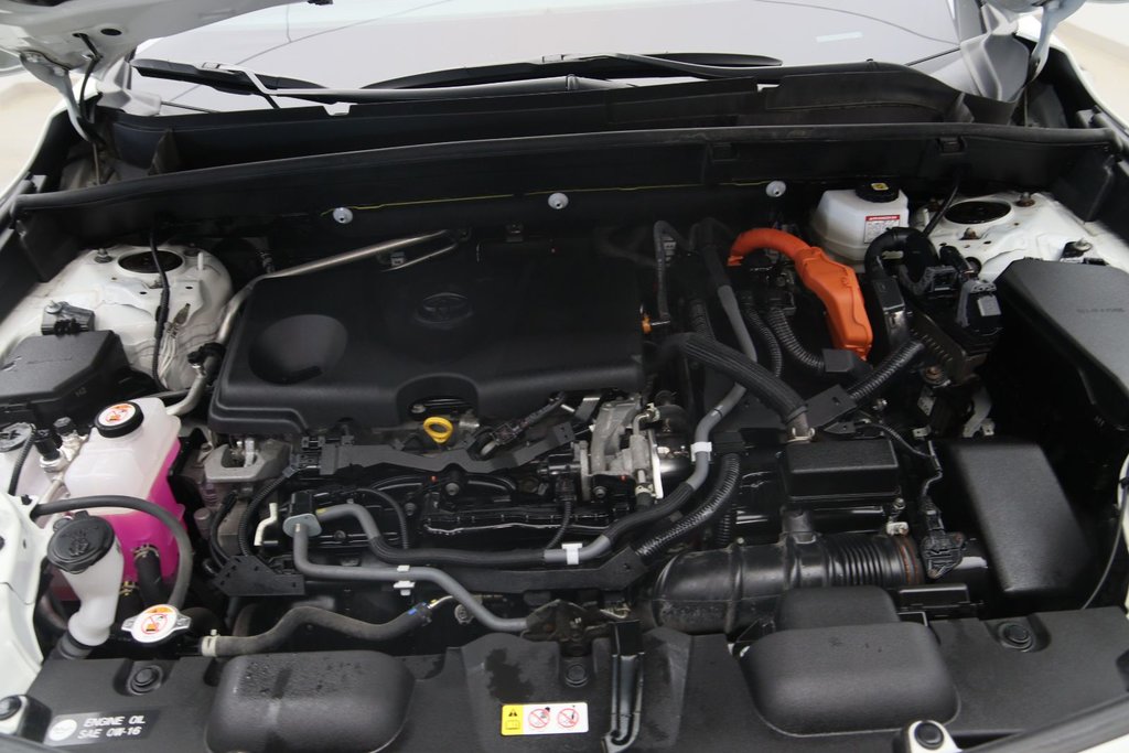 Toyota Venza  2021 à Sept-Îles, Québec - 17 - w1024h768px