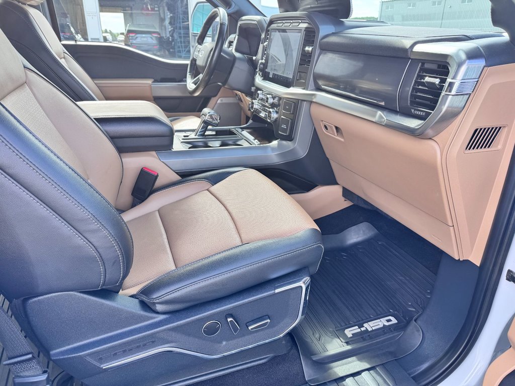 Ford F-150 LIMITED 2021 à Grand-Sault, Nouveau-Brunswick - 12 - w1024h768px