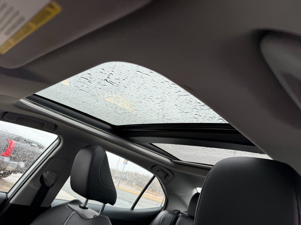 2019 Toyota Camry XSE in Grand Falls, New Brunswick - 19 - w1024h768px