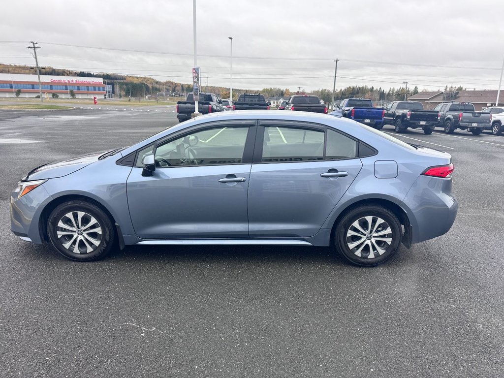 2024 Toyota Corolla Hybrid LE in Grand Falls, New Brunswick - 5 - w1024h768px