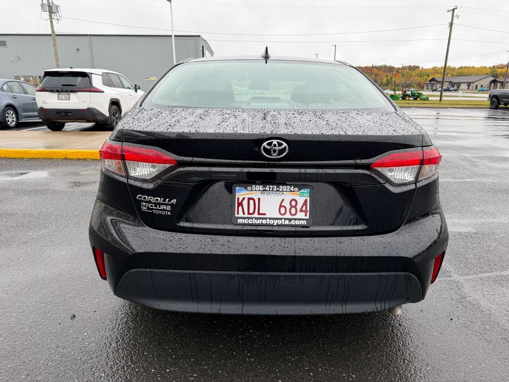 2024 Toyota Corolla in Grand Falls, New Brunswick - 4 - w1024h768px
