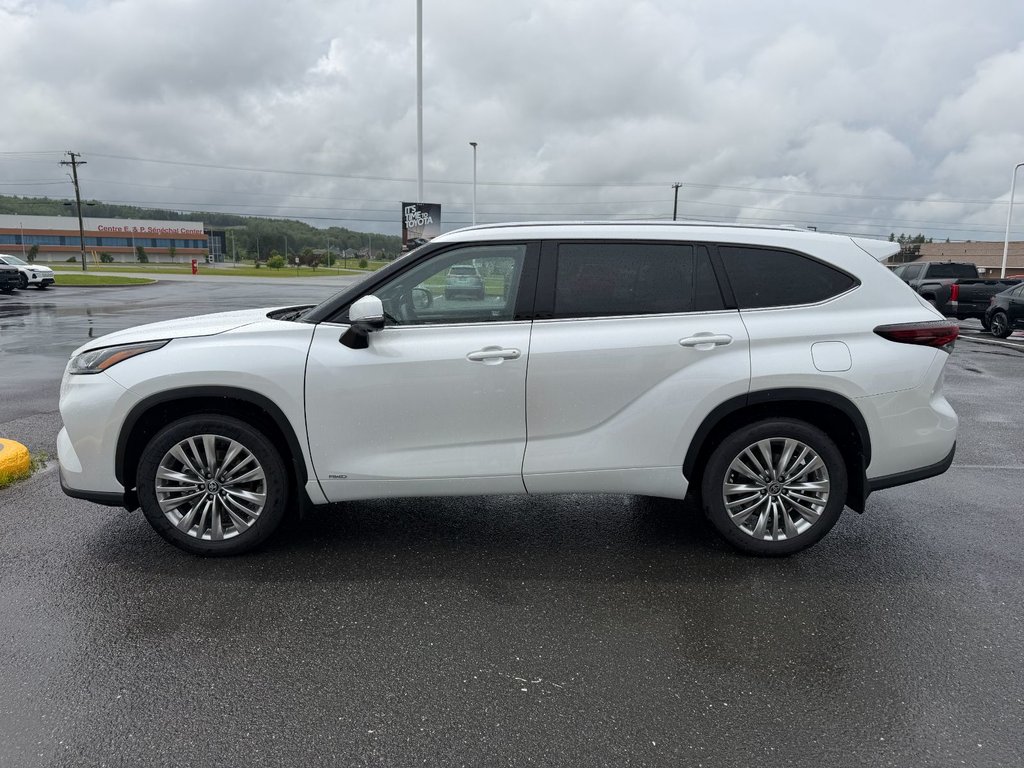 2026 Toyota Highlander Hybrid PLATINUM in Grand Falls, New Brunswick - 6 - w1024h768px
