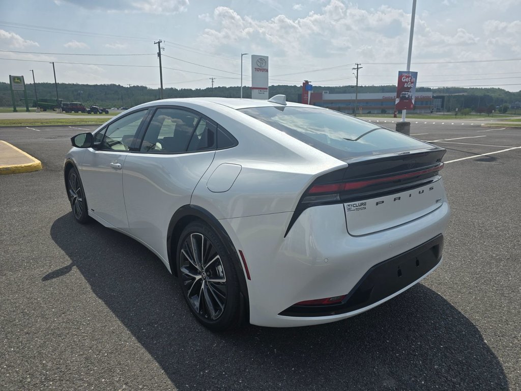 2025 Toyota Prius XLE AWD in Grand Falls, New Brunswick - 6 - w1024h768px