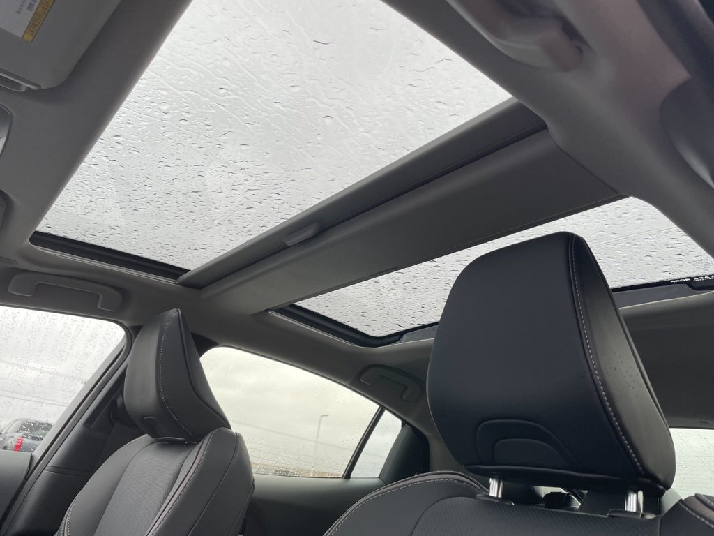 Toyota Prius LIMITED AWD 2026 à Grand-Sault, Nouveau-Brunswick - 19 - w1024h768px