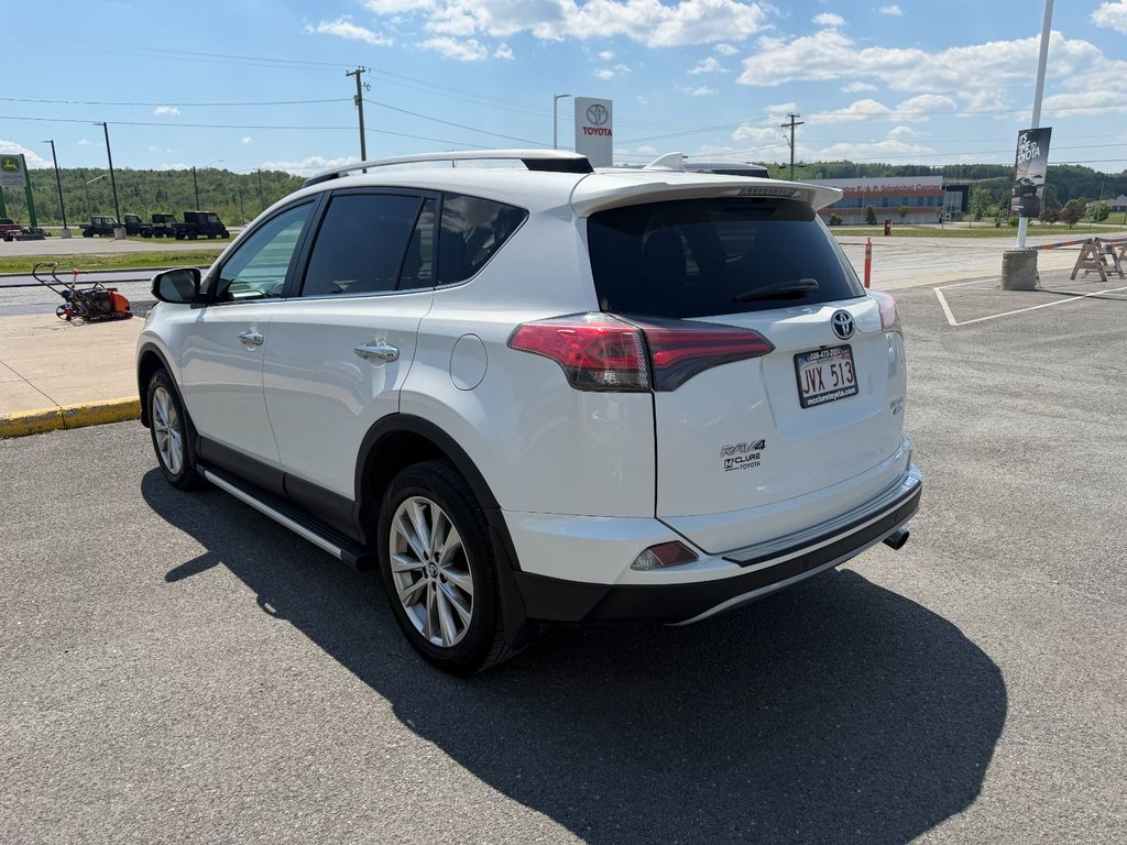 2018 Toyota RAV4 Limited in Grand Falls, New Brunswick - 5 - w1024h768px