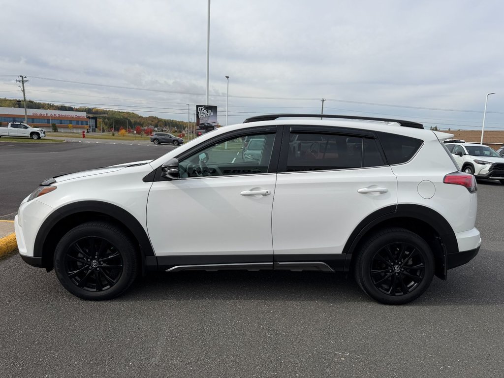 2018 Toyota RAV4 TRAIL in Grand Falls, New Brunswick - 6 - w1024h768px