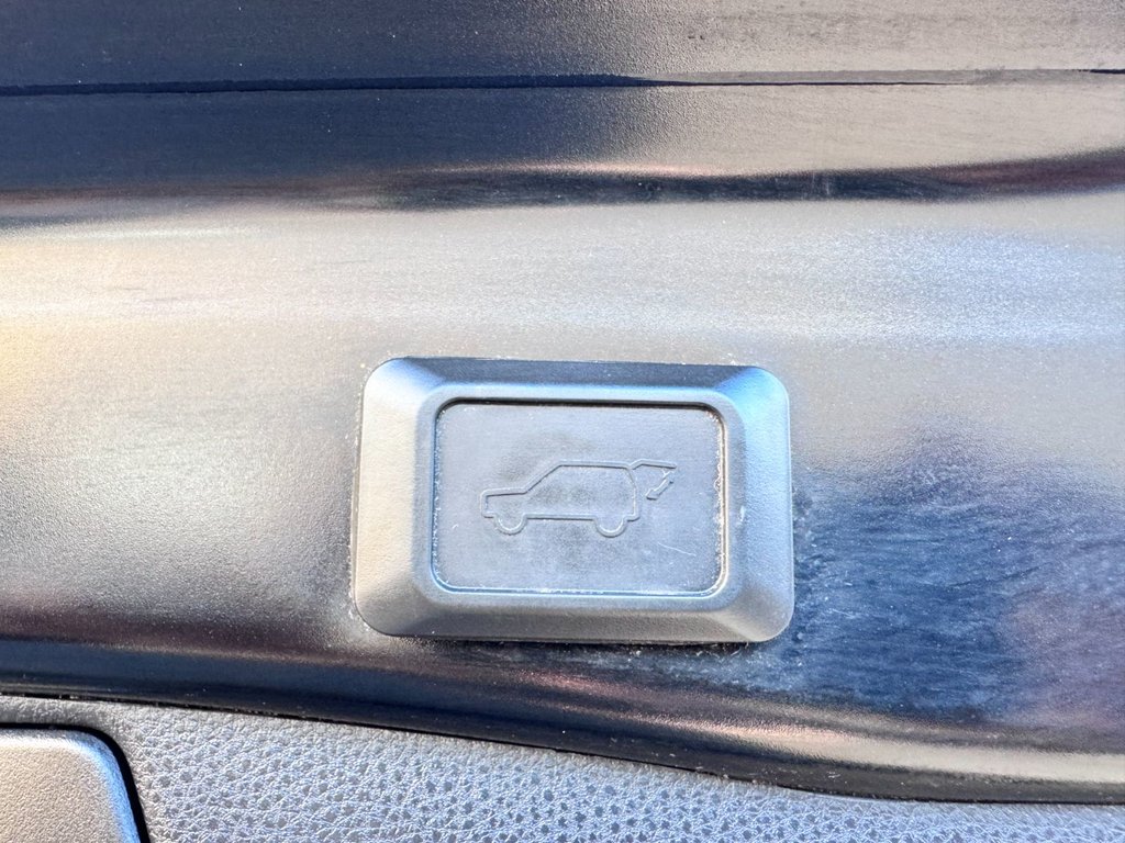 2019 Toyota RAV4 XLE PREMIUM in Grand Falls, New Brunswick - 13 - w1024h768px