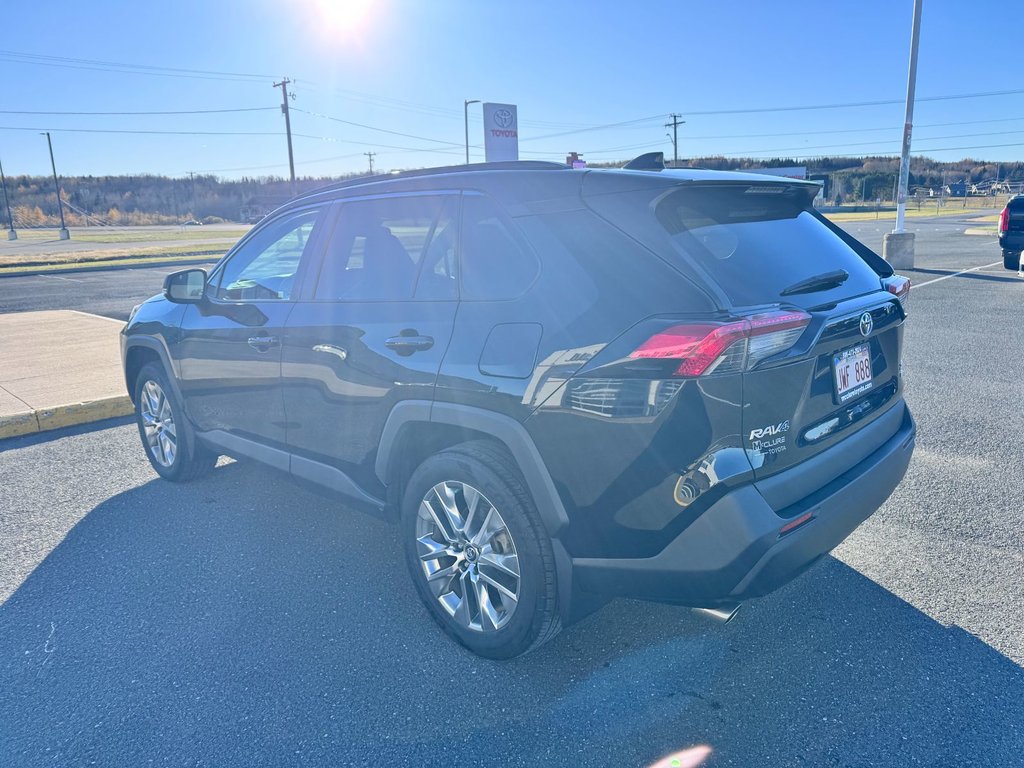 2019 Toyota RAV4 XLE PREMIUM in Grand Falls, New Brunswick - 5 - w1024h768px