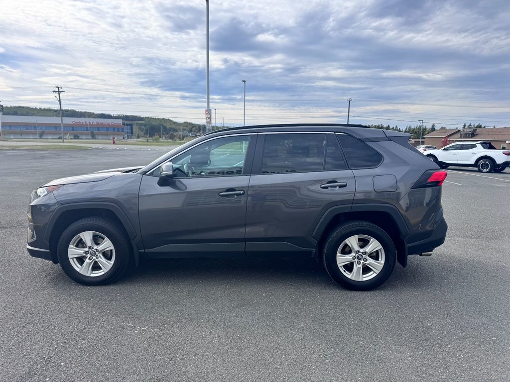 Toyota RAV4 XLE 2020 à Grand-Sault, Nouveau-Brunswick - 6 - w1024h768px