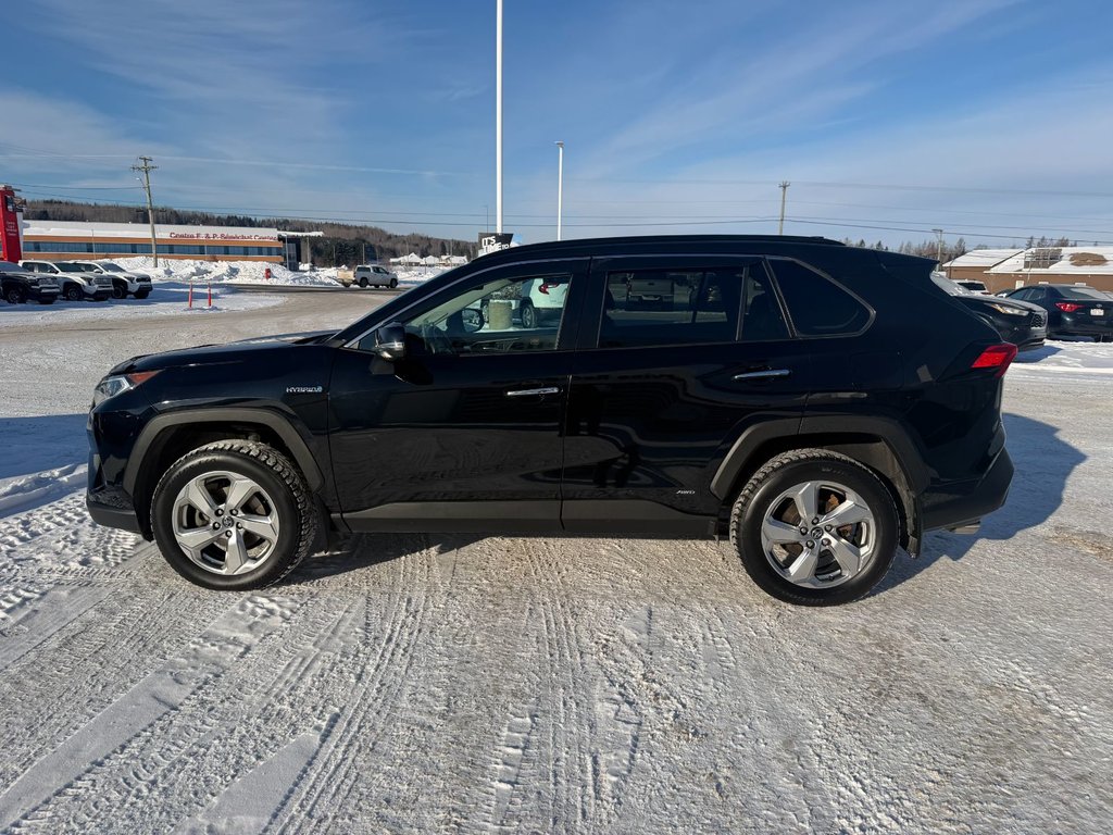 2021 Toyota RAV4 Hybrid Limited in Grand Falls, New Brunswick - 6 - w1024h768px