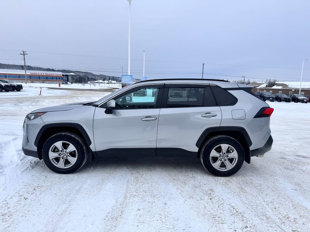 Toyota RAV4  2022 à Grand-Sault, Nouveau-Brunswick - 9 - w1024h768px