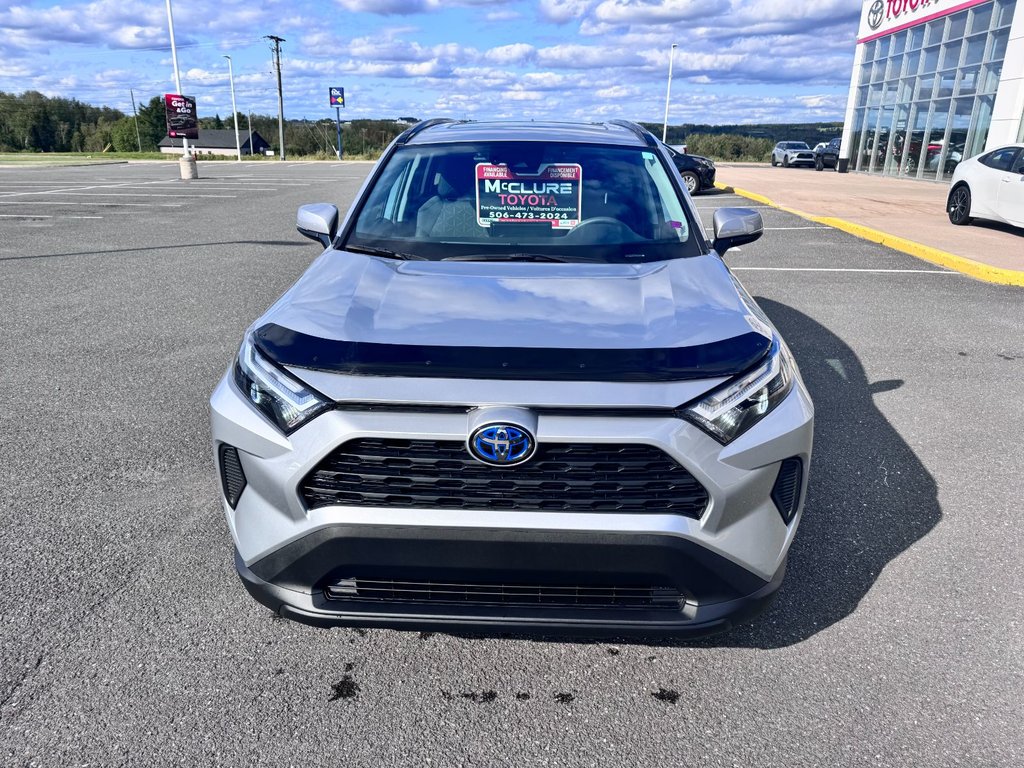 2024 Toyota RAV4 Hybrid XLE in Grand Falls, New Brunswick - 9 - w1024h768px