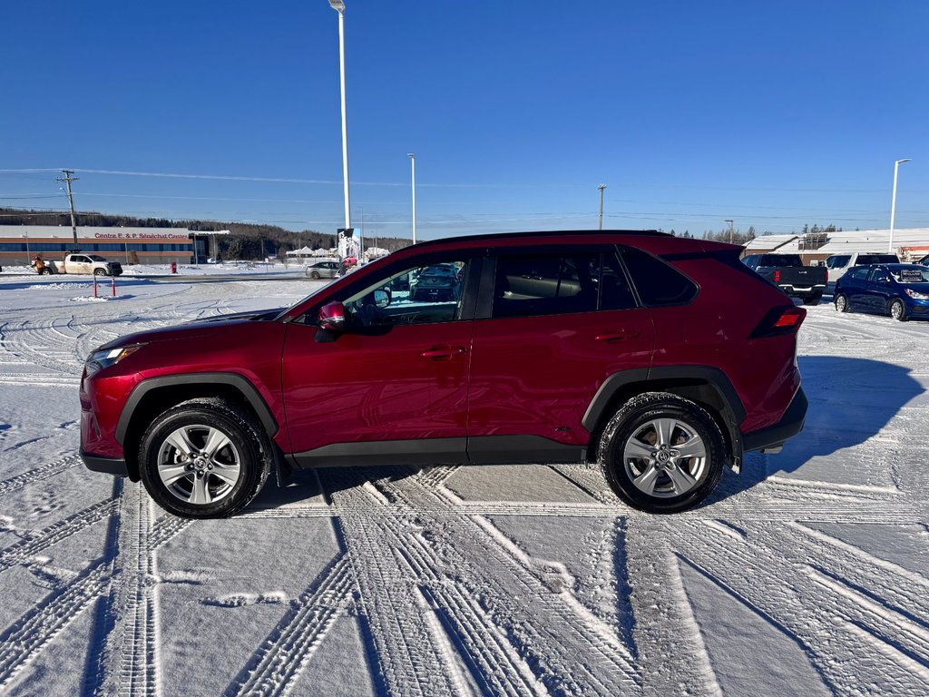 2024 Toyota RAV4 Hybrid XLE in Grand Falls, New Brunswick - 6 - w1024h768px