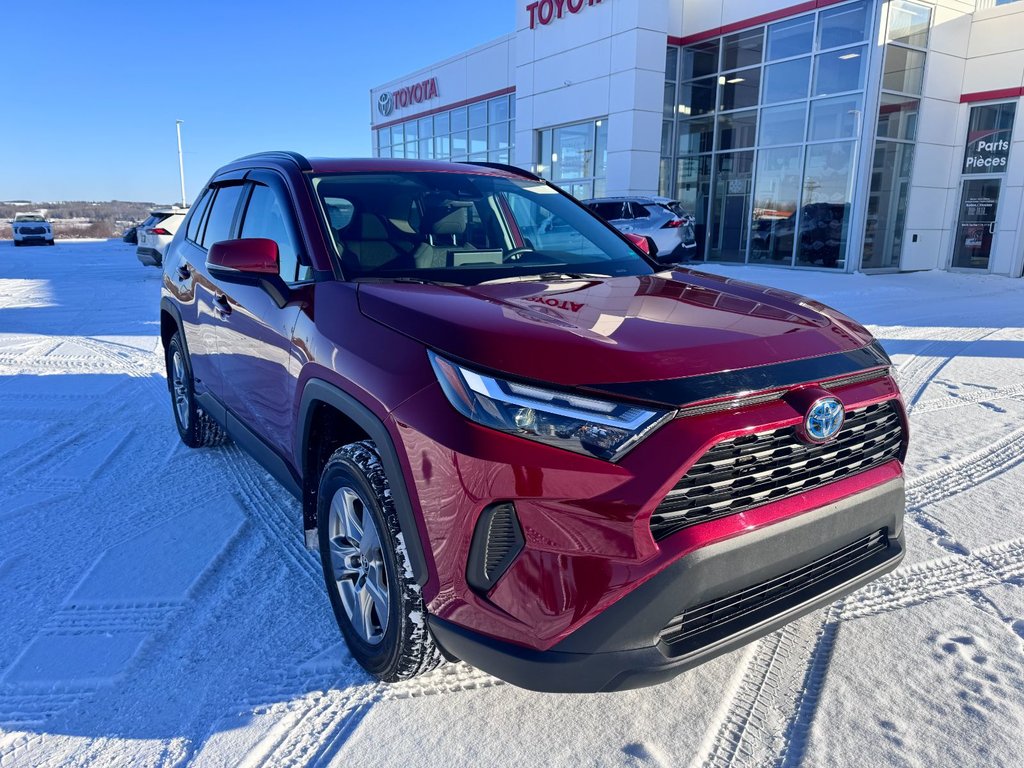 2024 Toyota RAV4 Hybrid XLE in Grand Falls, New Brunswick - 9 - w1024h768px