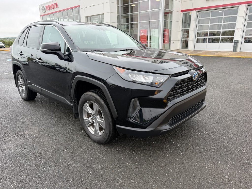 2024 Toyota RAV4 Hybrid LE in Grand Falls, New Brunswick - 9 - w1024h768px
